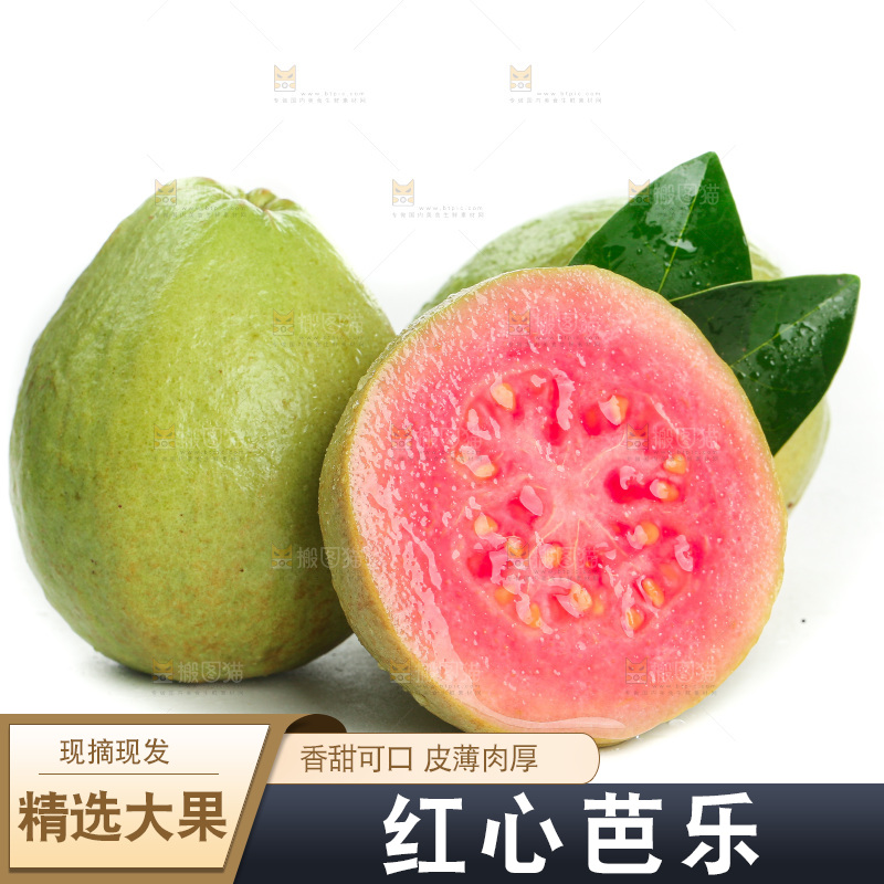 白底上的红心芭乐