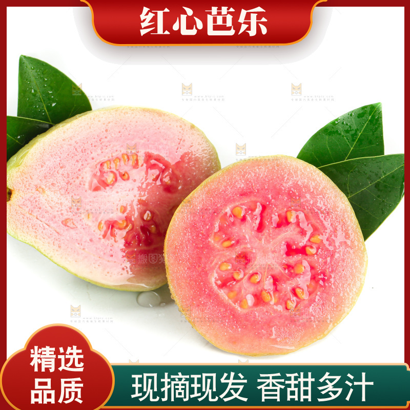 白底上的红心芭乐