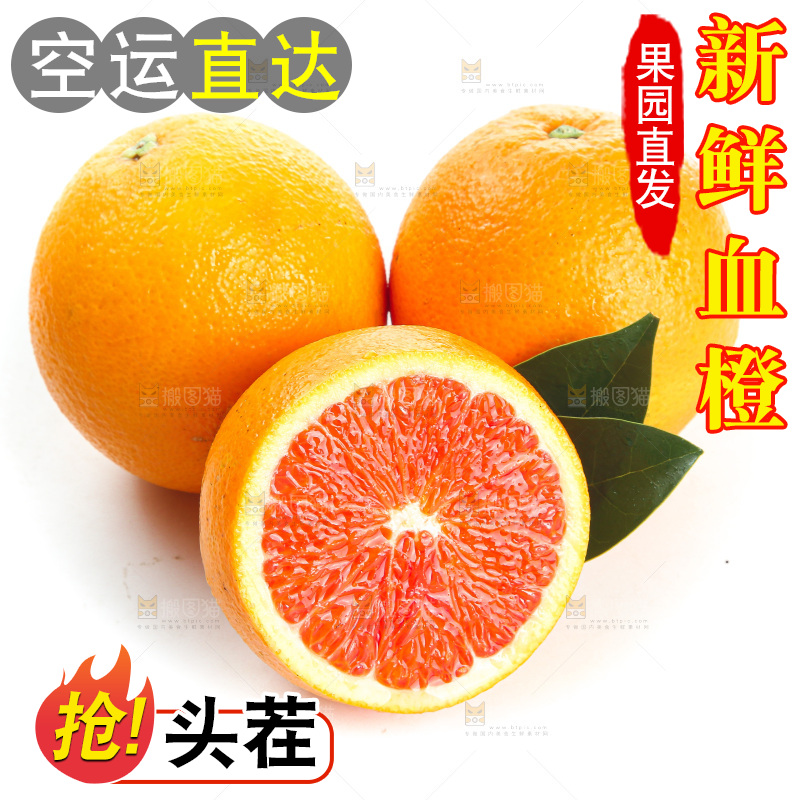 白底上的血橙