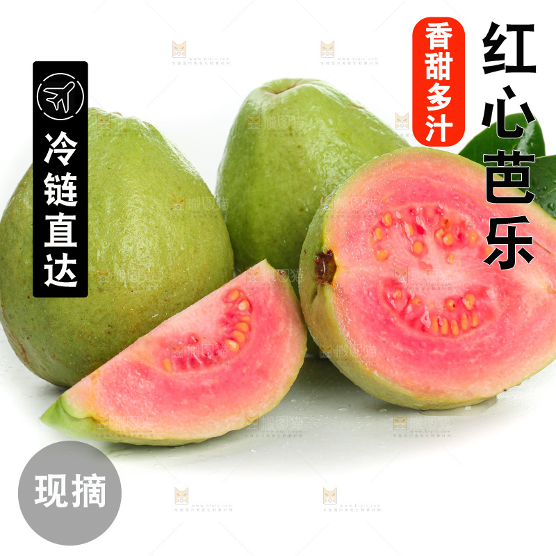 白底上的红心芭乐