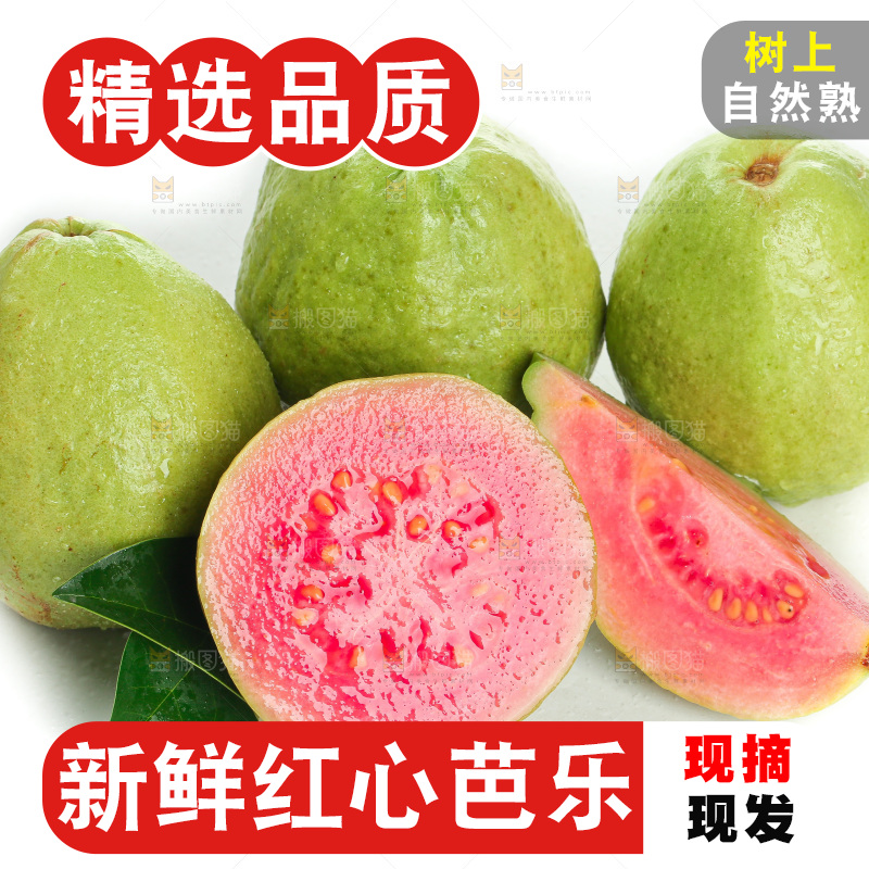 白底上的红心芭乐