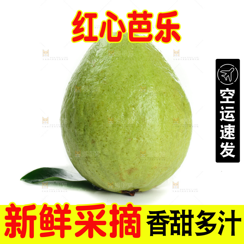 白底上的红心芭乐