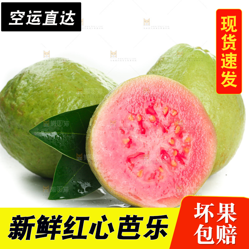 白底上的红心芭乐