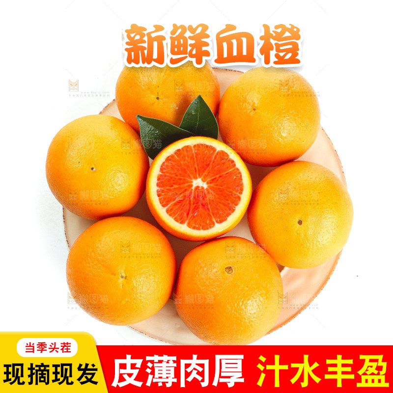 白底上的血橙