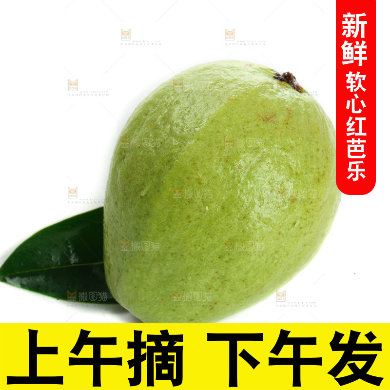 白底上的红心芭乐