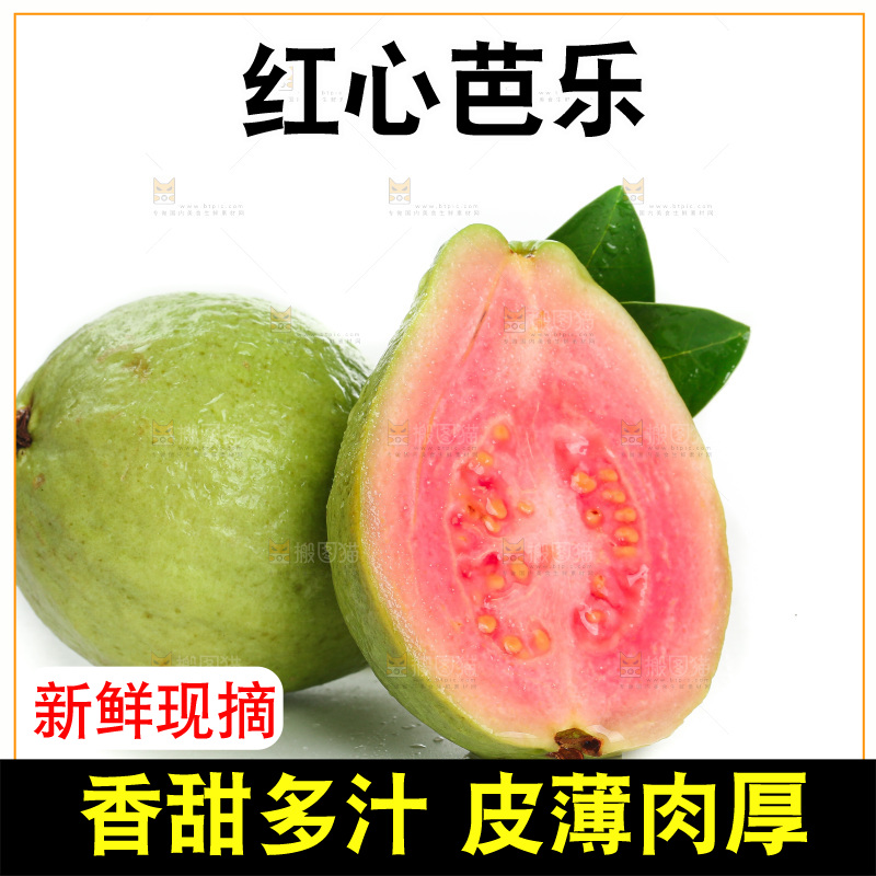 白底上的红心芭乐