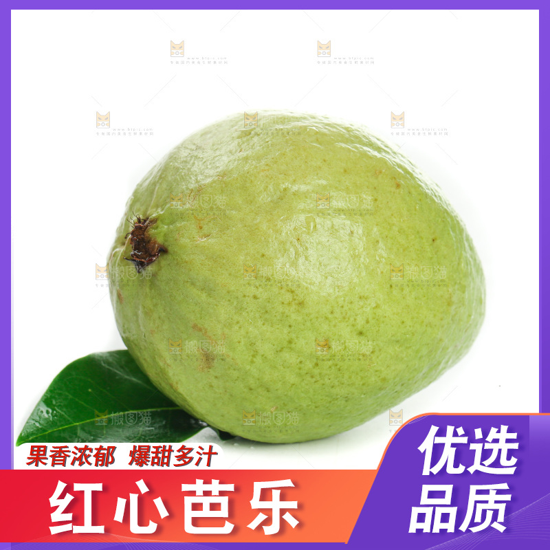 白底上的红心芭乐