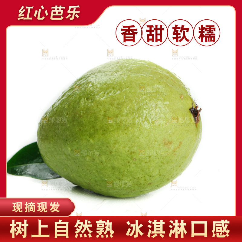 白底上的红心芭乐