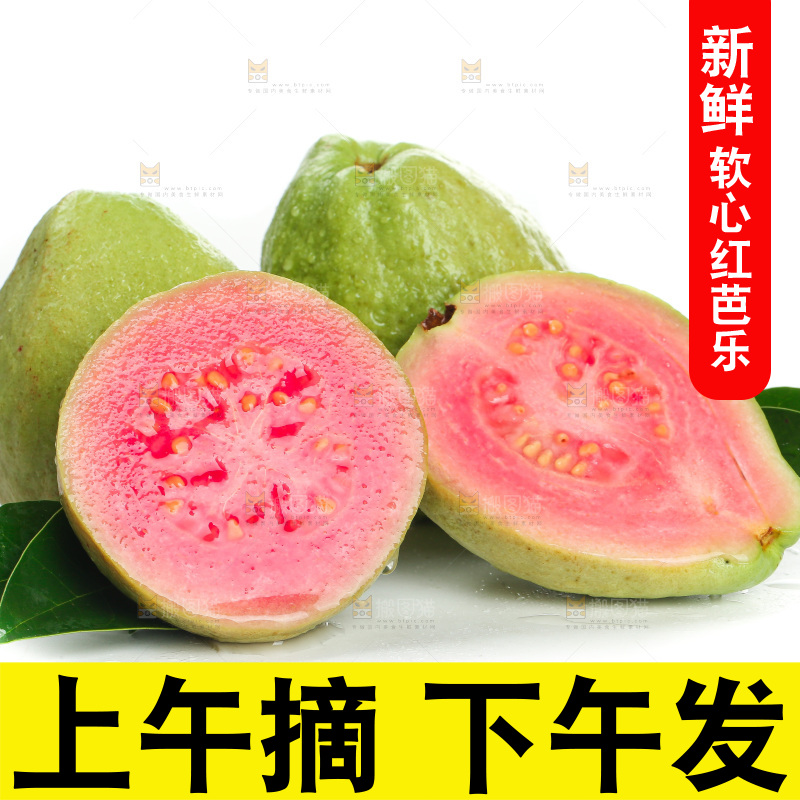 白底上的红心芭乐