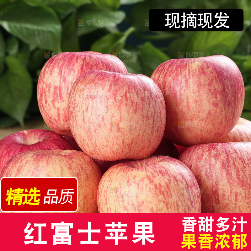 浅底上的红富士苹果