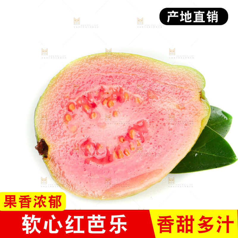 白底上的红心芭乐