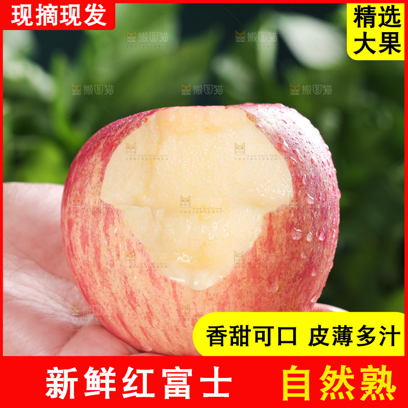 浅底上的红富士苹果