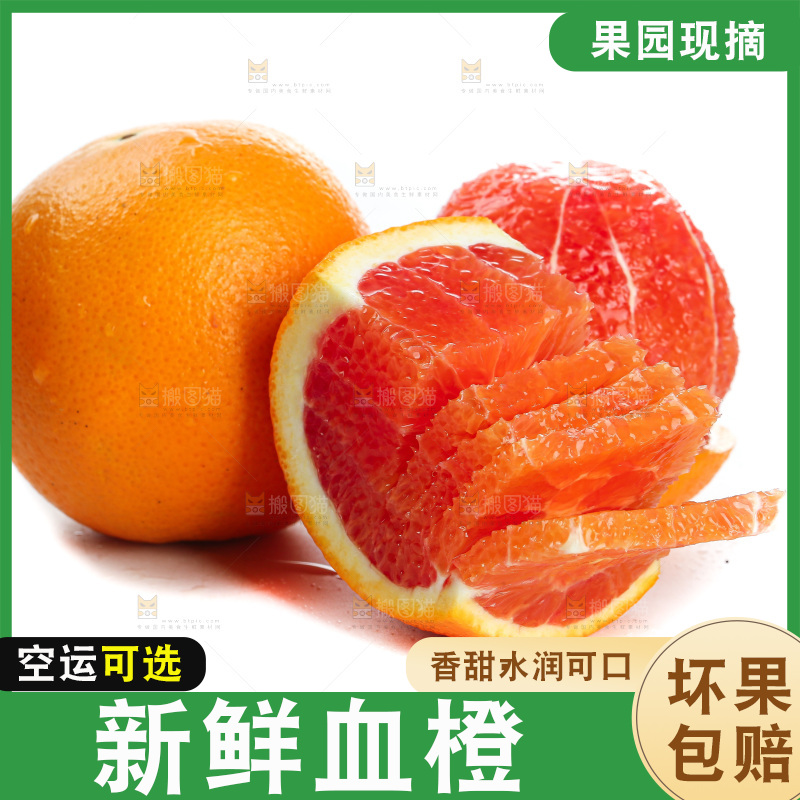 白底上的血橙