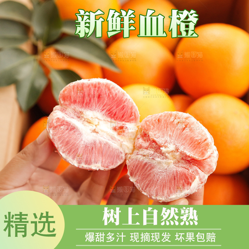 新鲜血橙