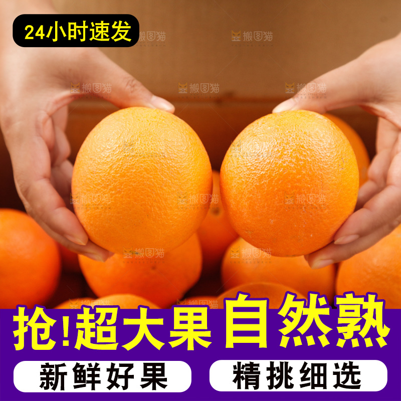 新鲜血橙