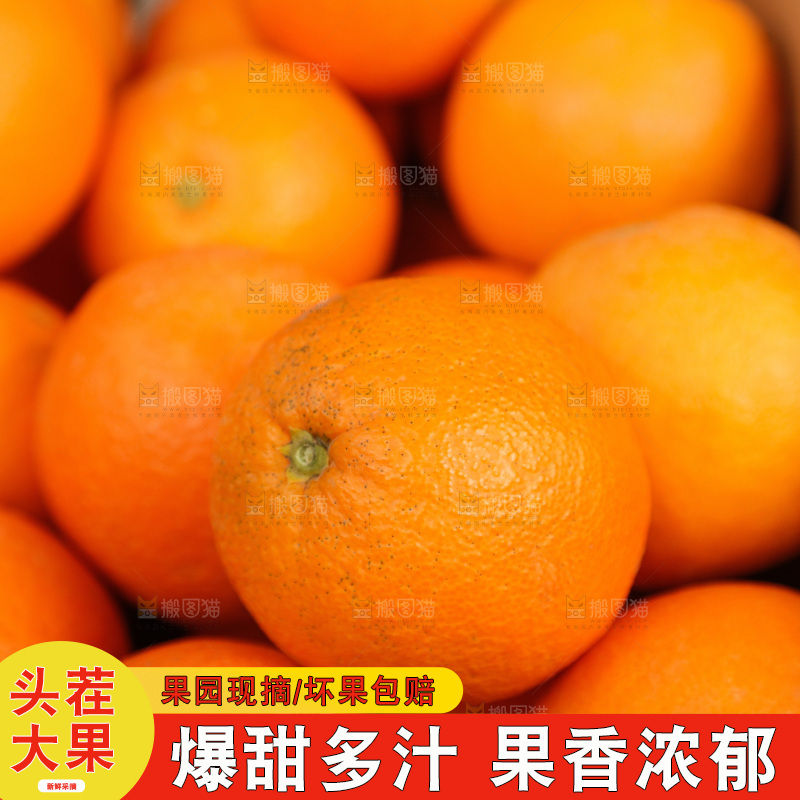 新鲜血橙