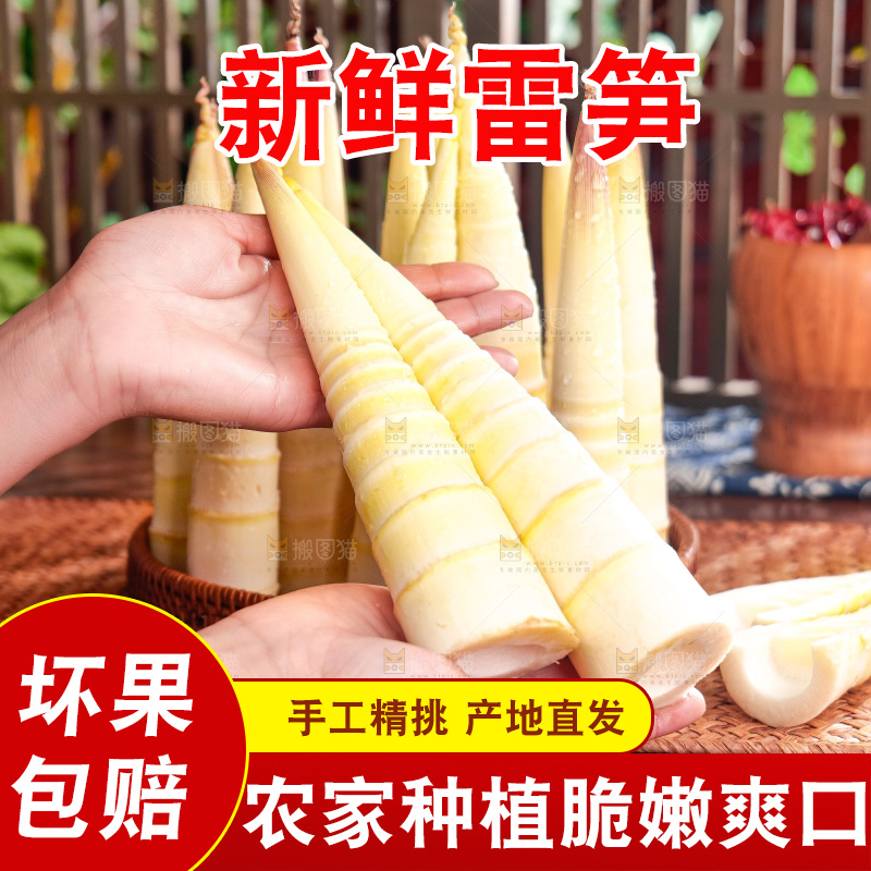 深底上的雷笋