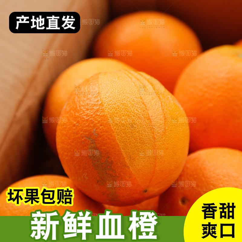 新鲜血橙