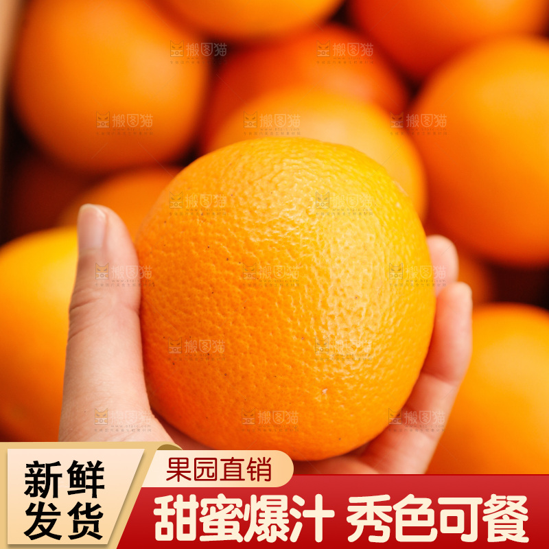 新鲜血橙