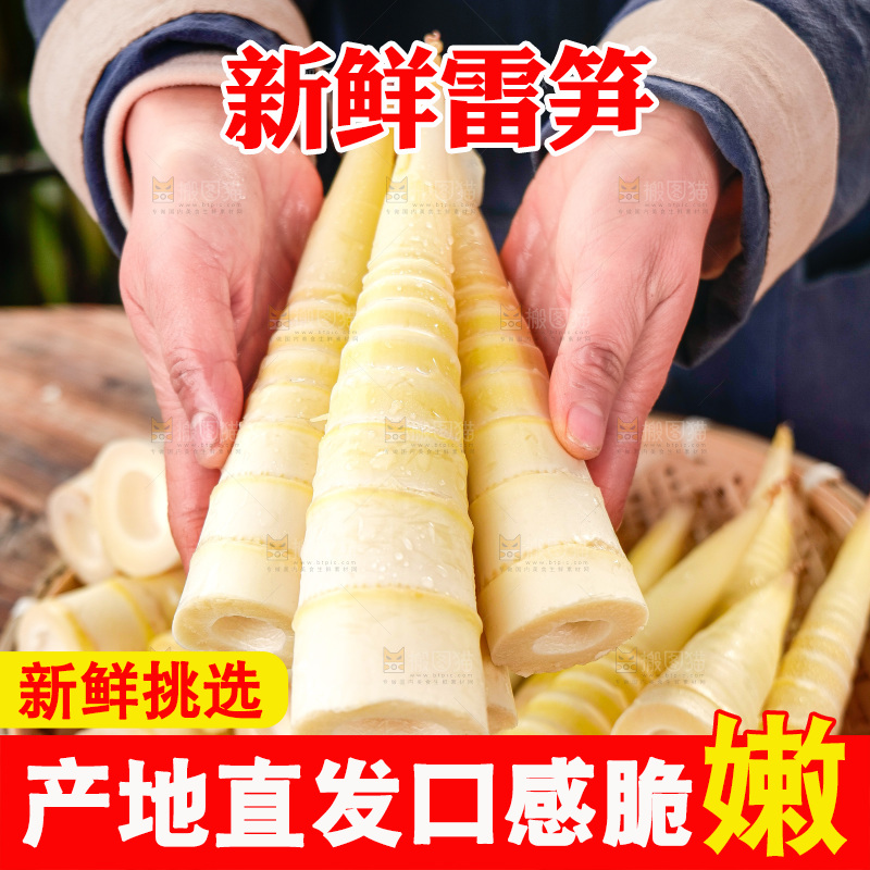 深底上的雷笋