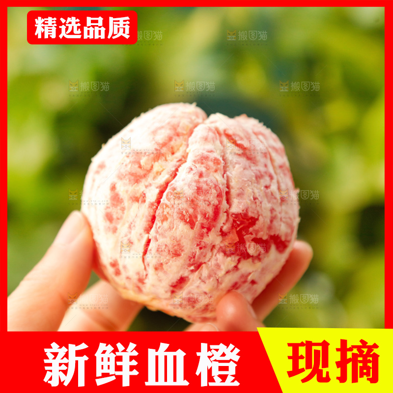 新鲜血橙