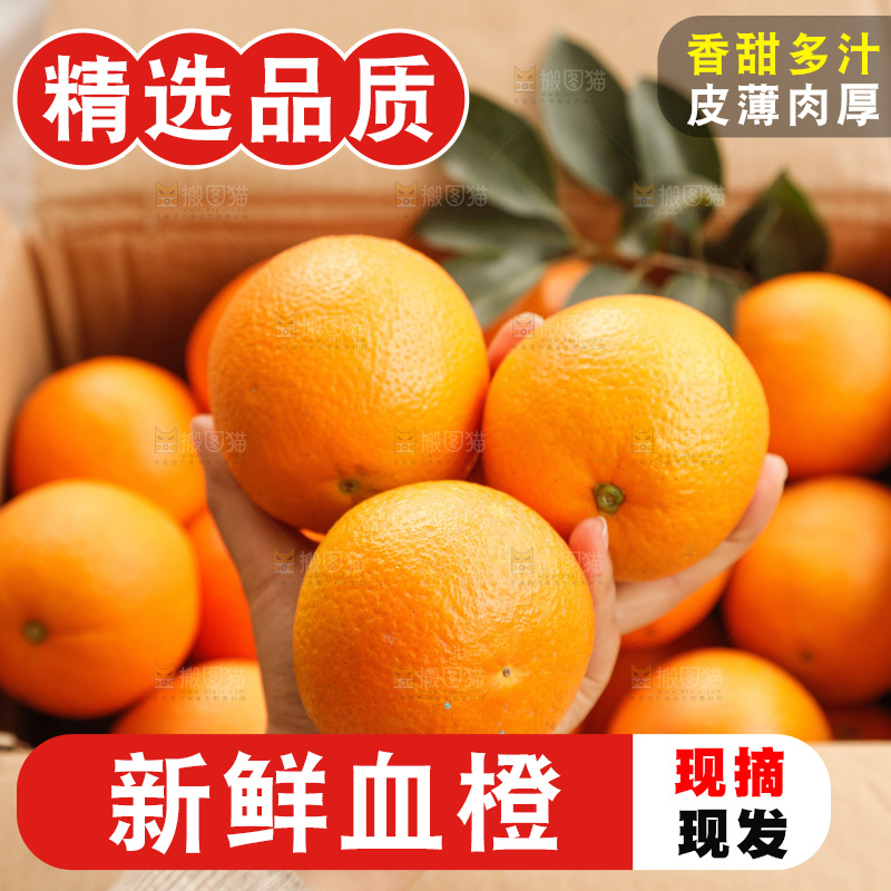 新鲜血橙