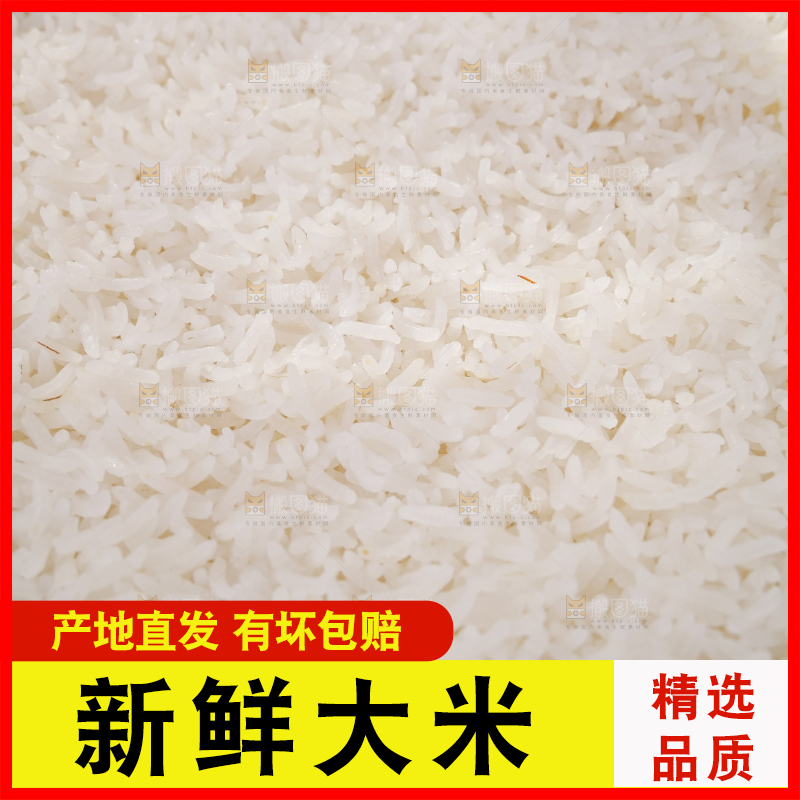 深底上长粒米