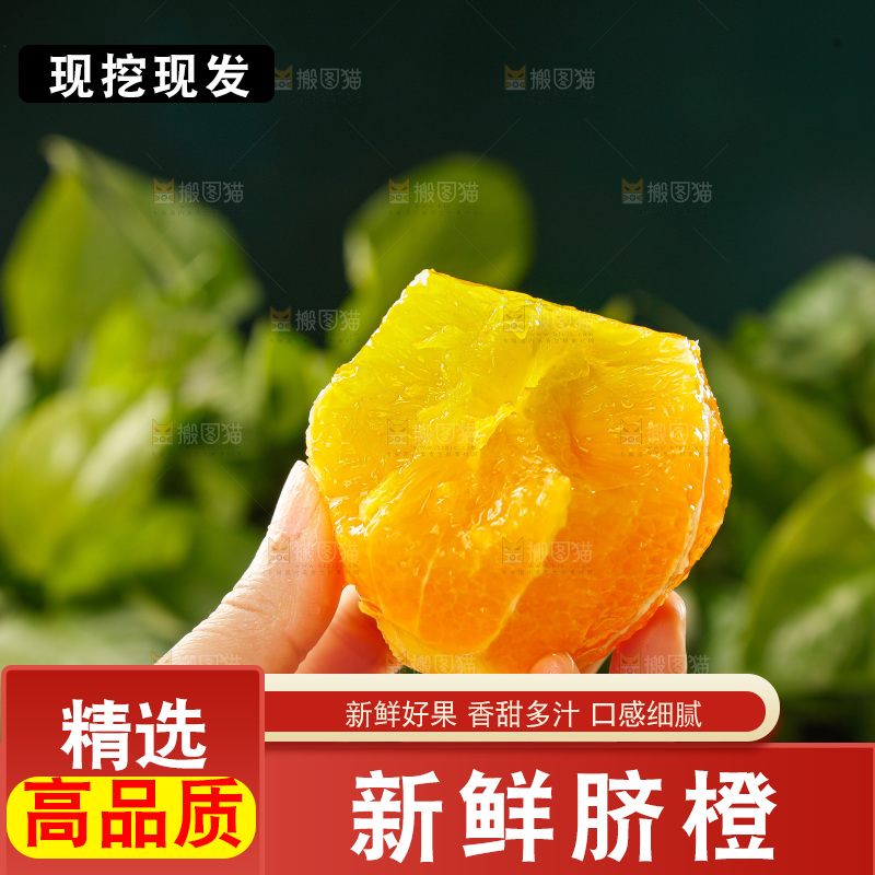 深底上的脐橙