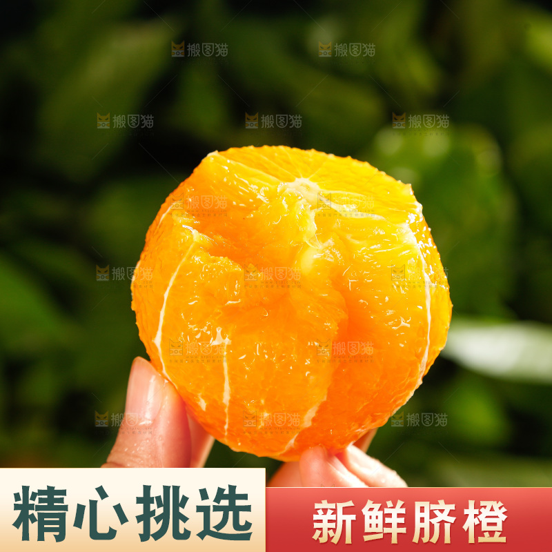 深底上的脐橙