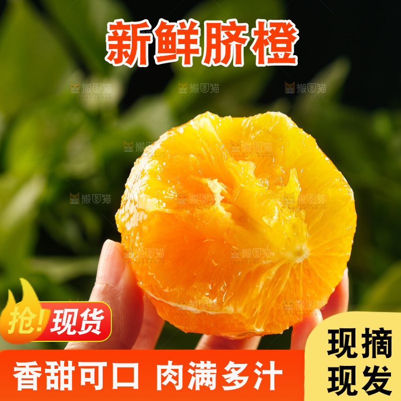 深底上的脐橙