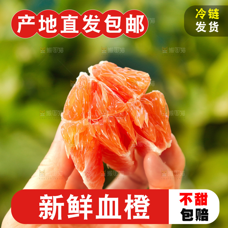 新鲜血橙