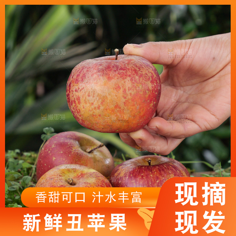 深底上的丑苹果
