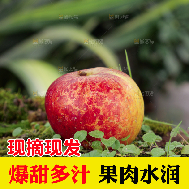 深底上的丑苹果