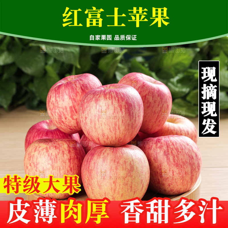 浅底上的红富士苹果