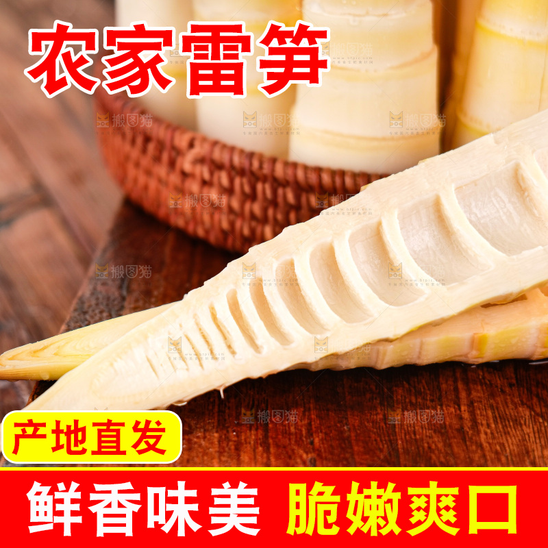 深底上的雷笋