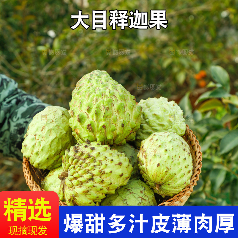 筐子里装的释迦果