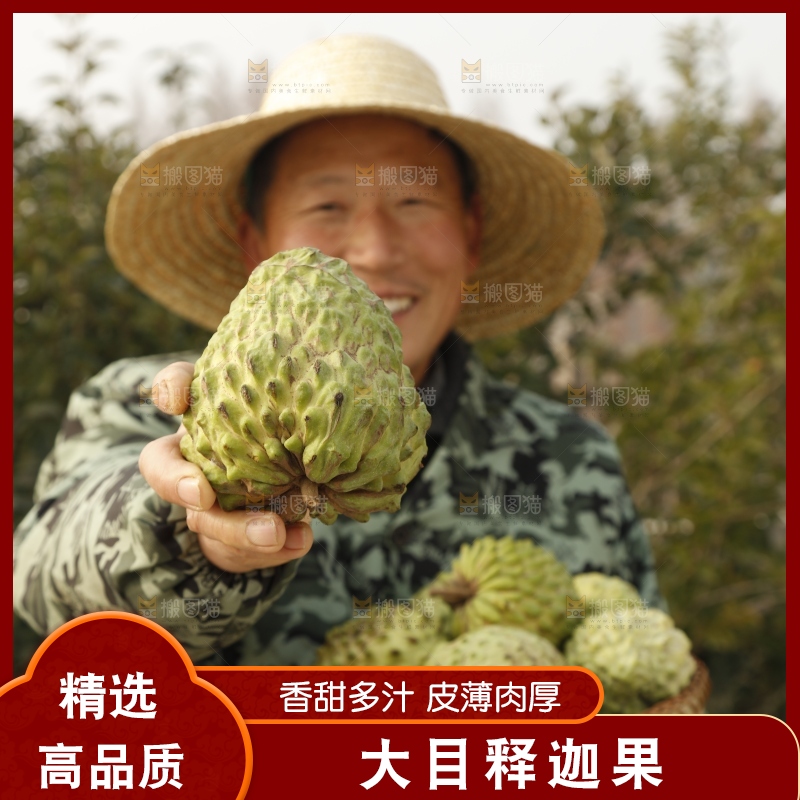 筐子里装的释迦果