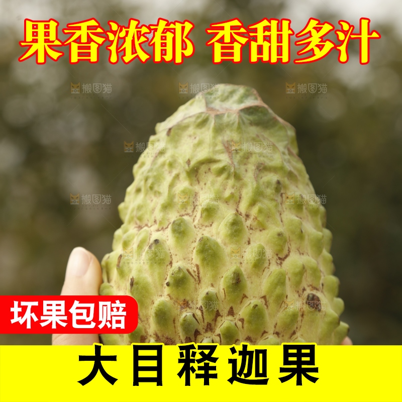 筐子里装的释迦果