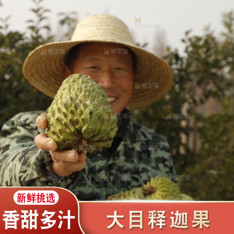 筐子里装的释迦果