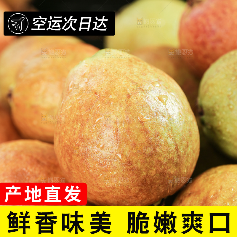 木底上的红心芭乐