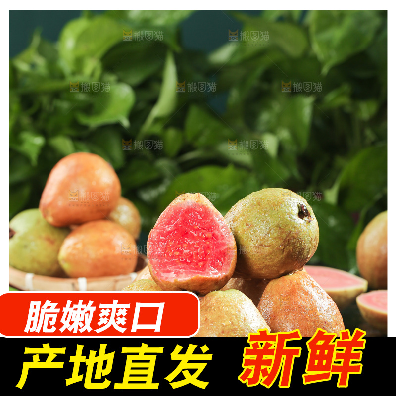 木底上的红心芭乐