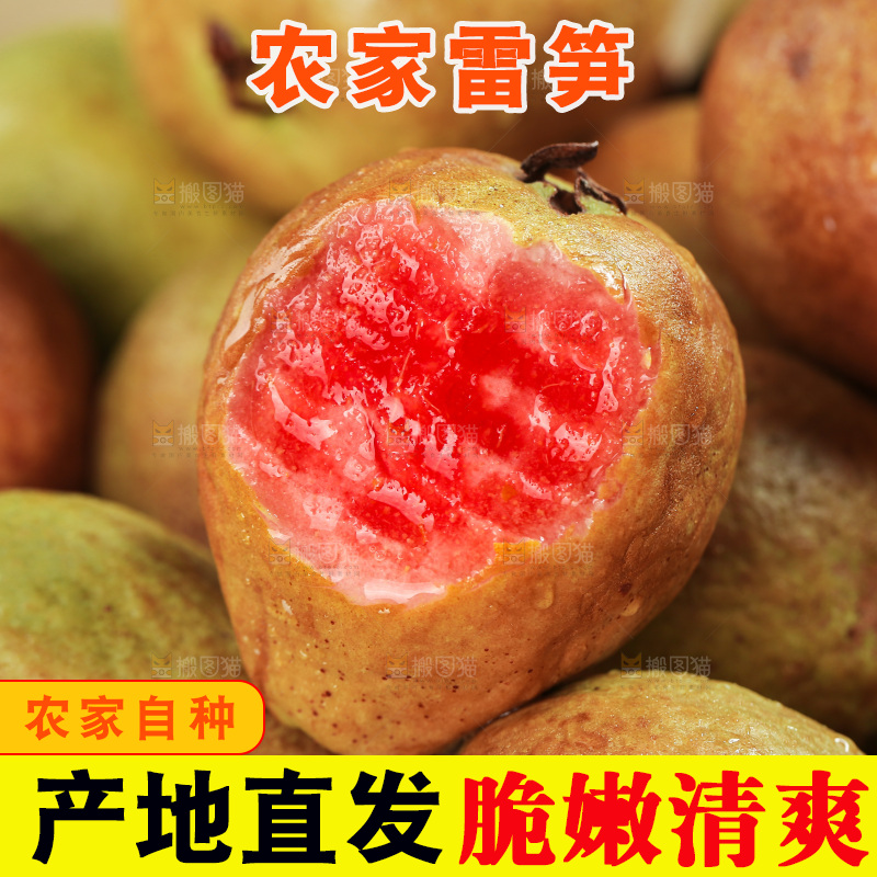 木底上的红心芭乐