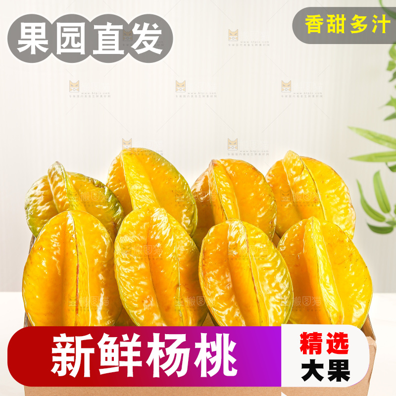 浅底上的杨桃