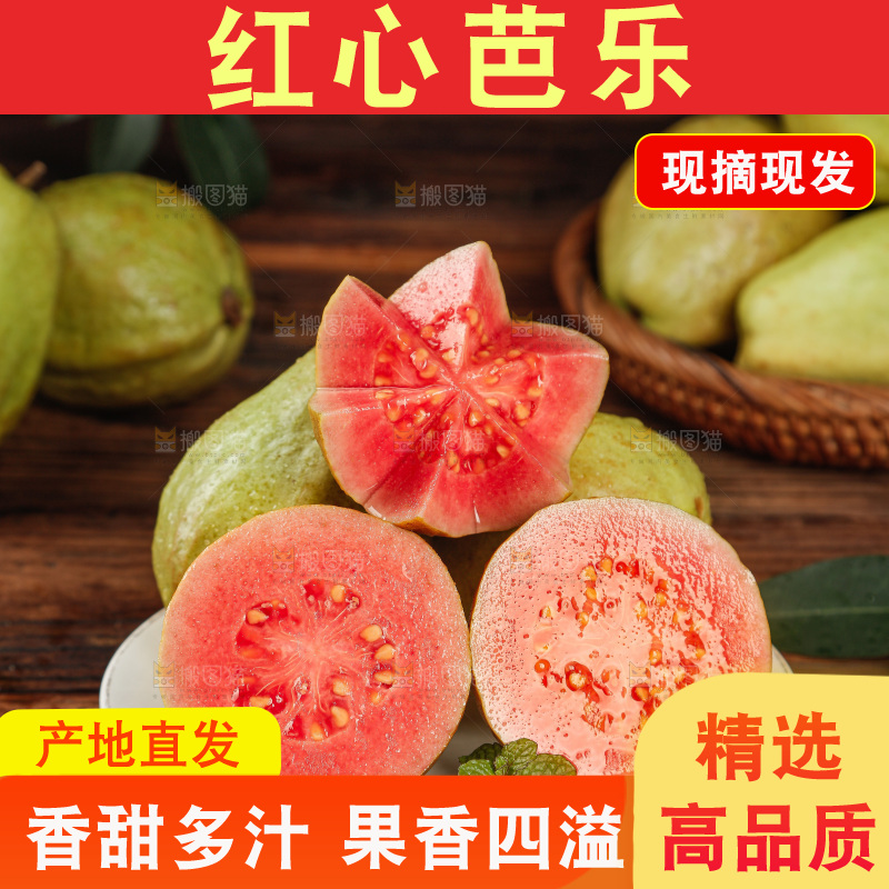 深底上的红心芭乐