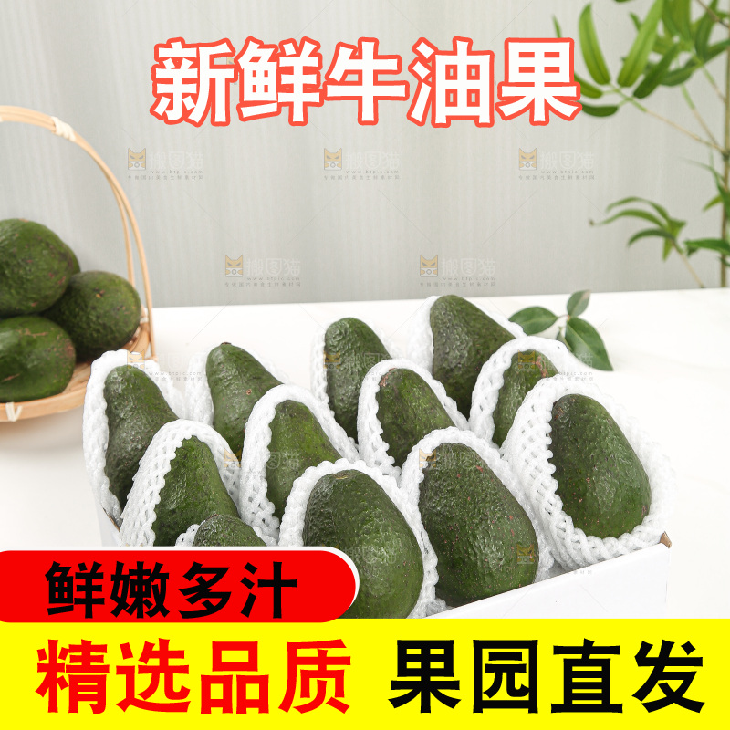 浅底上的牛油果