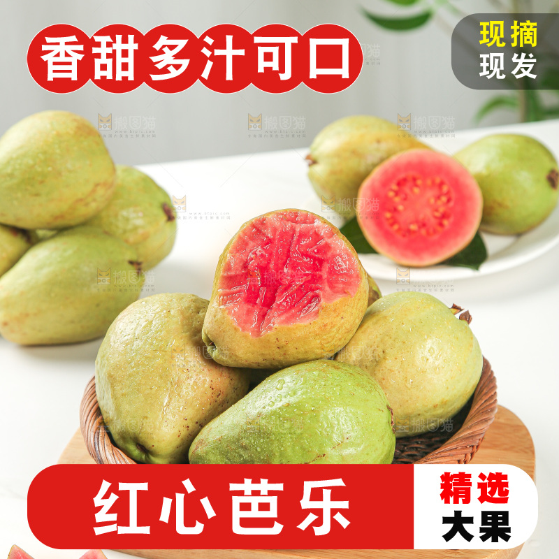 浅底上的红心芭乐