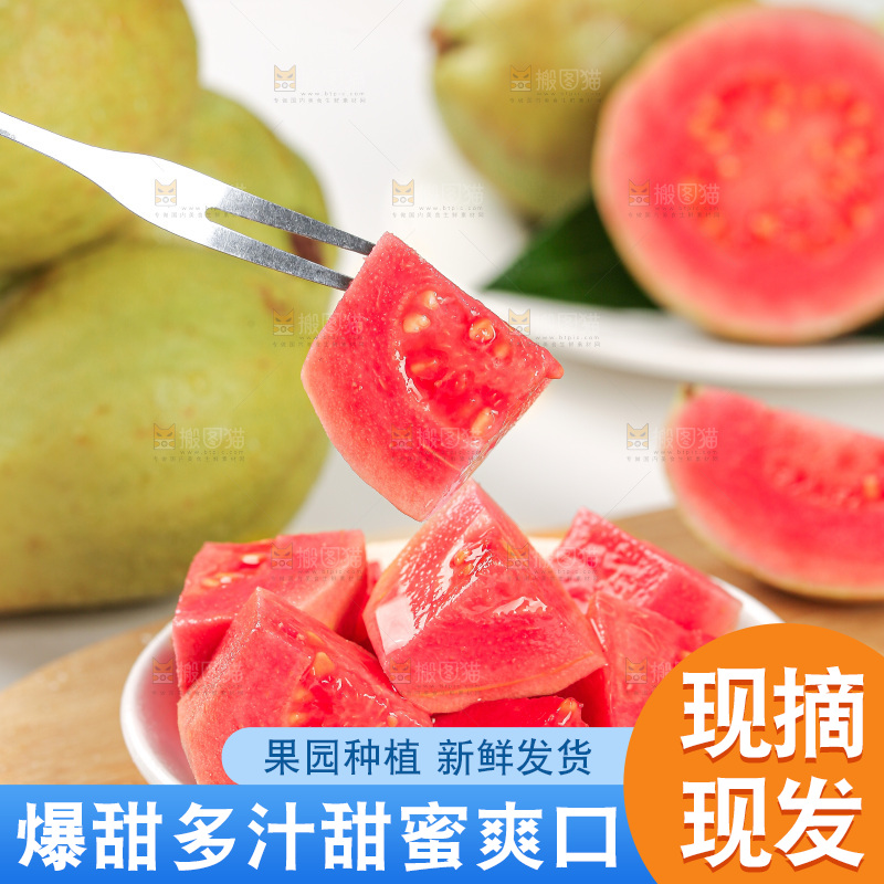 浅底上的红心芭乐