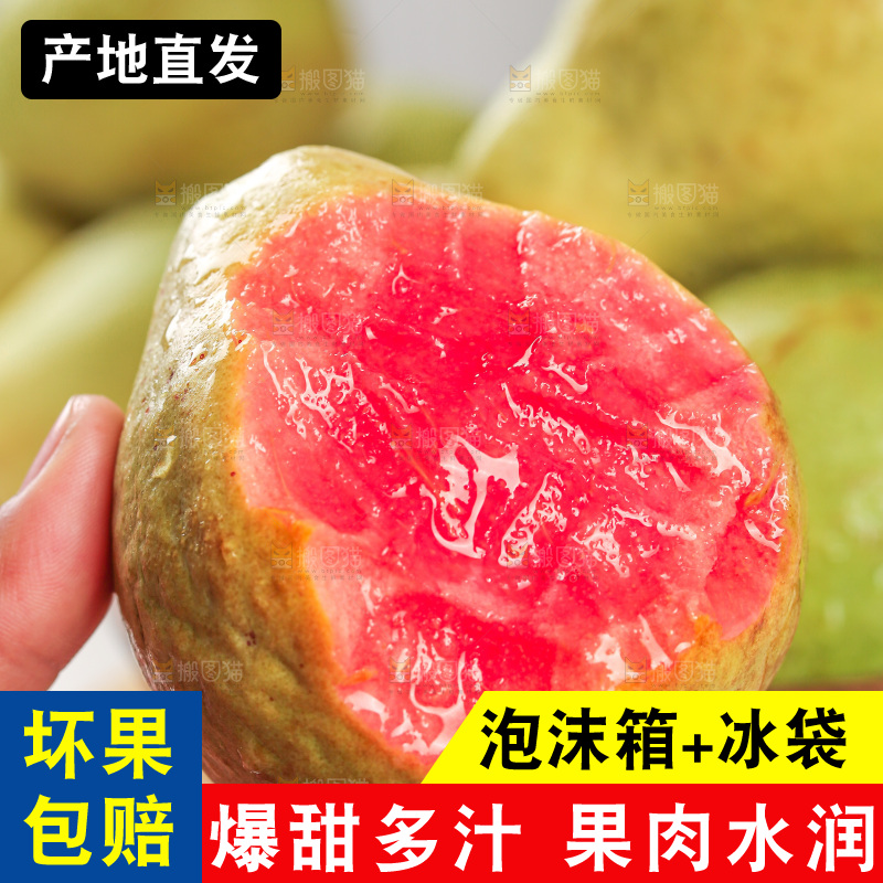 浅底上的红心芭乐