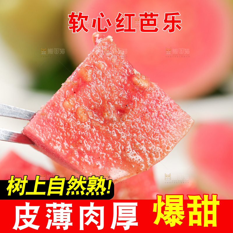 浅底上的红心芭乐