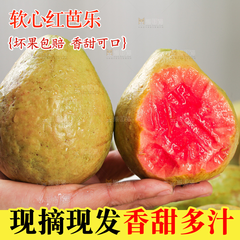 浅底上的红心芭乐